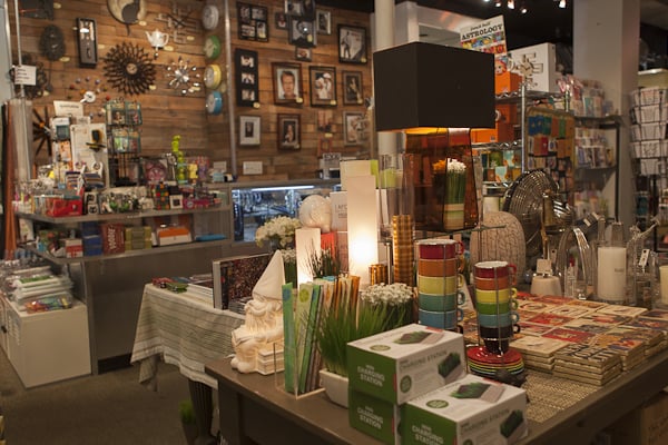 Delphinium Home by null