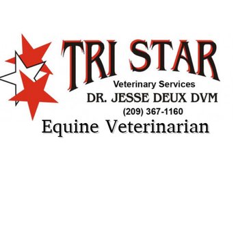 Tri Star Equine Veterinary Services - Call to schedule your next appointment. - Veterinarians Near Me - Acampo, California Tri Star Equine Veterinary Services - Call to schedule your next appointment. - Veterinarians Near Me - Acampo, California