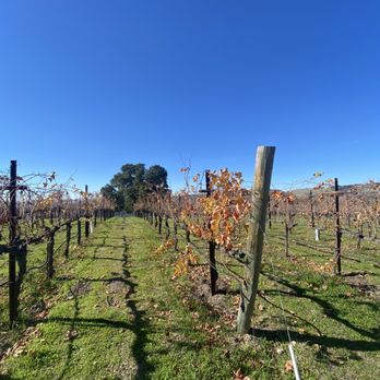 Alta Colina - Wineries Near Me - Paso Robles, California