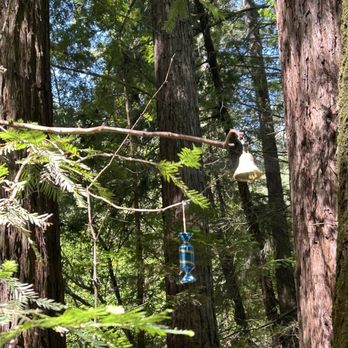 Monte Rio Redwoods Trailhead - Hiking Near Me - Monte Rio, California Monte Rio Redwoods Trailhead - Hiking Near Me - Monte Rio, California