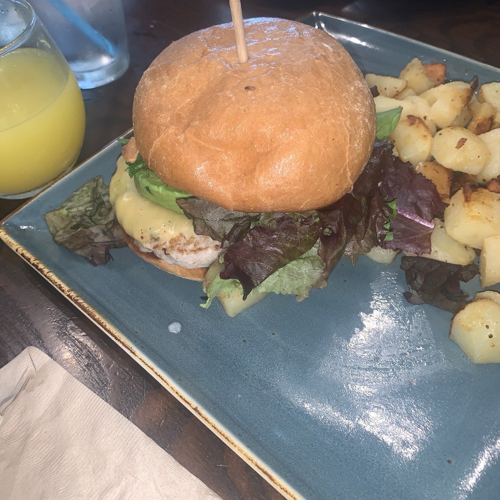 First Watch - Baja Turkey Burger - Breakfast & Brunch Near Me - Raleigh, North Carolina
