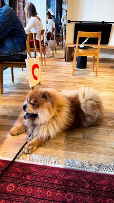 YellowSun Coffee by null