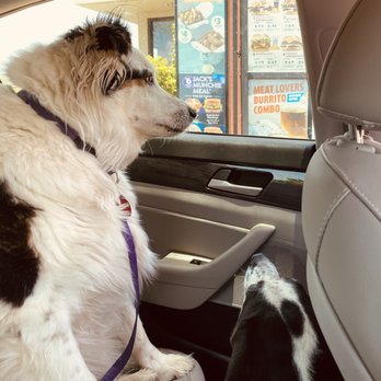 Jack in the Box - Ordering at Jack In The Box - Fast Food Near Me - Peoria, Arizona