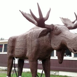 Hillside Diner - Find the moose and you're there