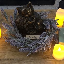 all paws great and small