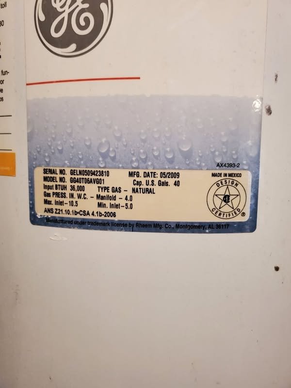 Slide of maple plumbing