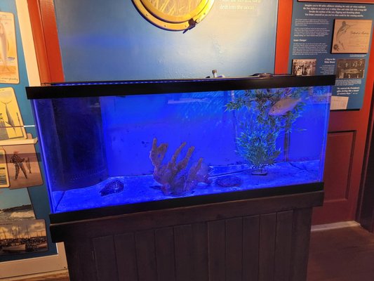 Ocean City Life-Saving Museum by null