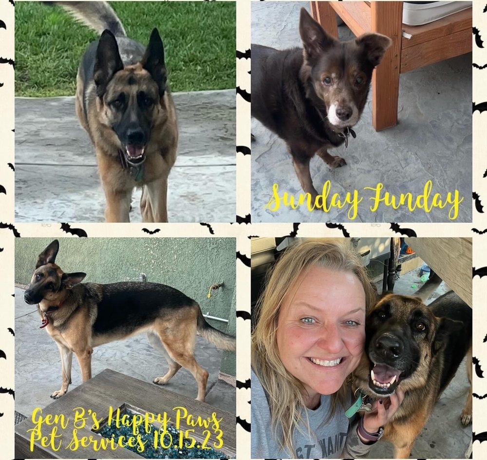 GEN B’S HAPPY PAWS Updated June 2024 107 Photos & 17 Reviews