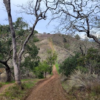 Almaden Quicksilver County Park - Parks Near Me - San Jose, California Almaden Quicksilver County Park - Parks Near Me - San Jose, California