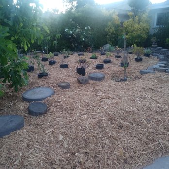 Lorenzo's Tree Service - Tree Services Near Me Lorenzo's Tree Service - Tree Services Near Me