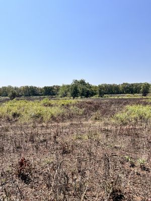 Fort Worth Nature Center & Refuge by null