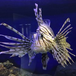 Blue Reef Aquarium