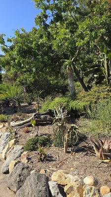 San Diego Botanic Garden by null