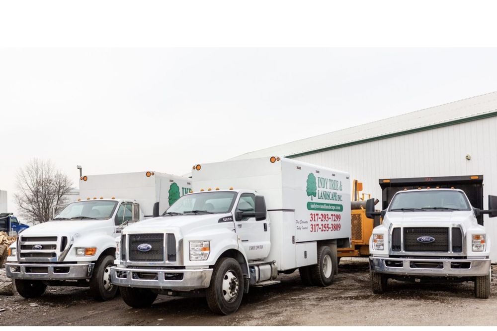 Indy Tree & Landscape - tree service in Indianapolis, IN