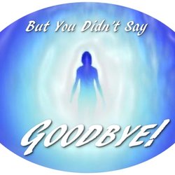 But You Didn't Say Goodbye