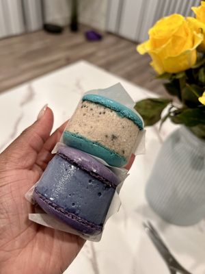 Cajun Crackn Concord by null