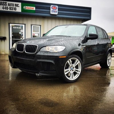 Large lights on christmas tree