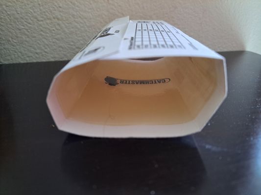 United Pest Solutions