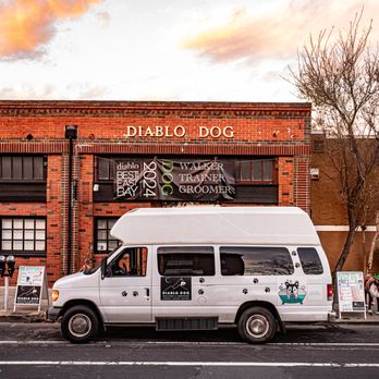 Diablo Dog  - Diablo Dog Mobile Grooming - Dog Walkers Near Me - Martinez, California