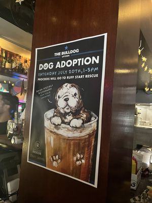 The Bulldog Uptown by null