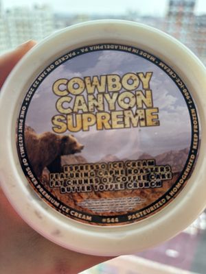 1-900-ICE-CREAM by null