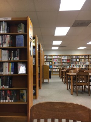 Chicago Public Library: Mayfair