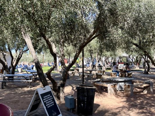 Queen Creek Olive Mill by null