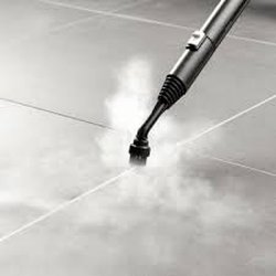 Xtra Hands Cleaning - VAPOR STEAMING Kills germs  no chemicals free quote