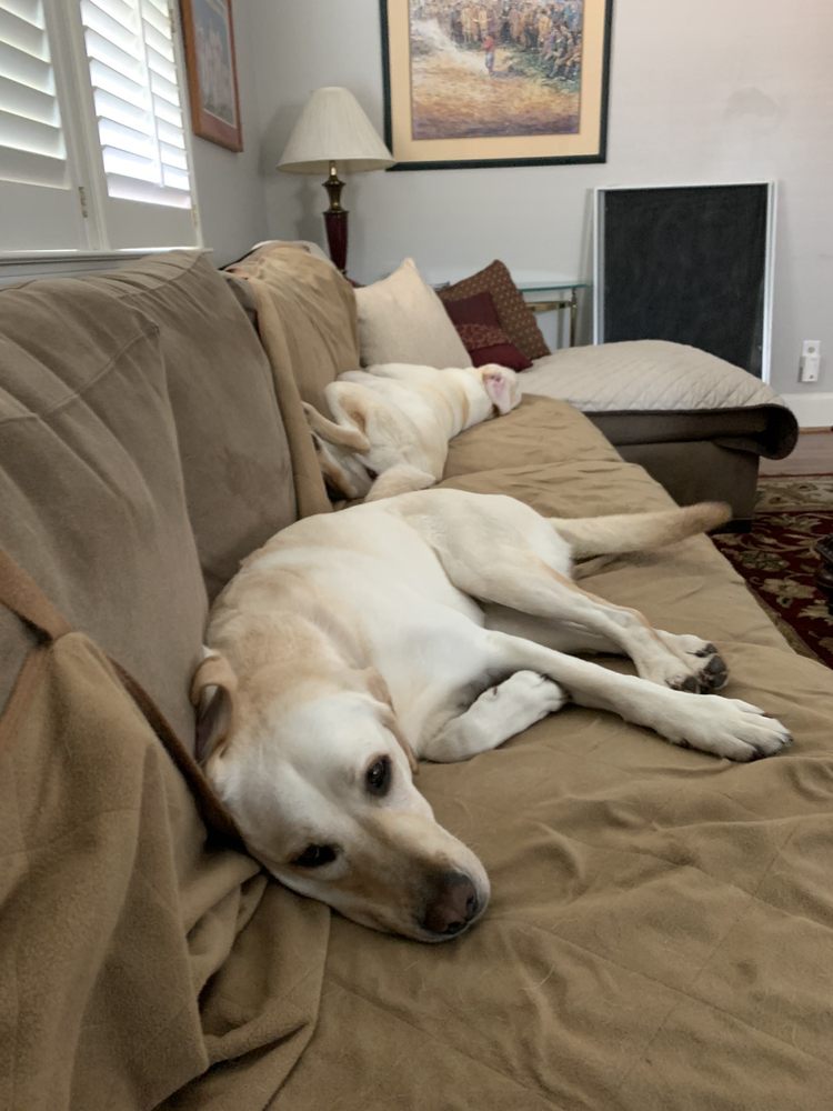 THE BARKER LOUNGE Updated September 2024 34 Photos & 19 Reviews