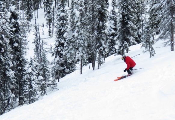 Blacktail Mountain Ski Area by null