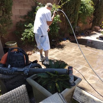 Twisted Trees - Tree Services Near Me Twisted Trees - Tree Services Near Me