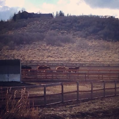 National Ability Center by null