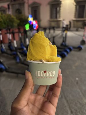 Edoardo il Gelato Biologico - Gelateria Piazza Duomo by null
