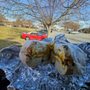 Photo of Barry's Bagel & Deli