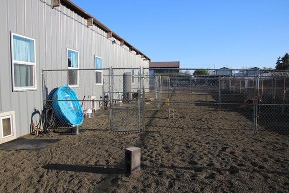 Best Friends Obedience & Agility School