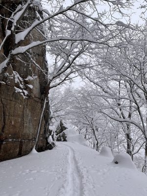 Minnewaska State Park Preserve by null