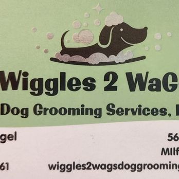 Milford Dog Grooming: Transform Your Pet's Look Today!