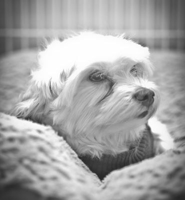 Culver Palms Animal Hospital 45 Photos 149 Reviews Veterinarians 11511 Washington Blvd Los Angeles Ca United States Phone Number