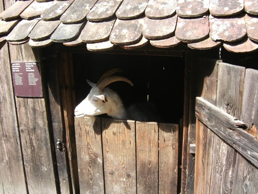 Écomusée d'Alsace by null