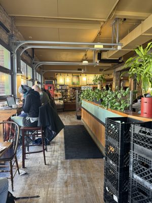 Colectivo Coffee Andersonville by null