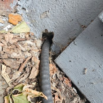 ATK Gestion Parasitaire - Entry point for my/ point d'entrée pour souris - Pest Control Near Me ATK Gestion Parasitaire - Entry point for my/ point d'entrée pour souris - Pest Control Near Me