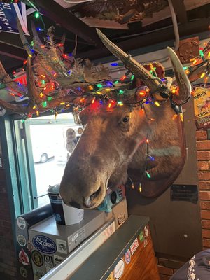 Moosehead Grill by null