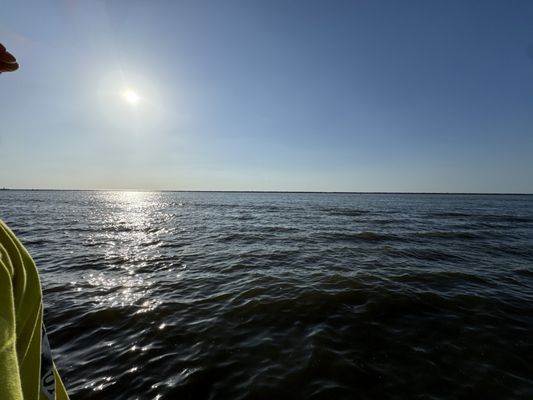 Voinovich Bicentennial Park by null