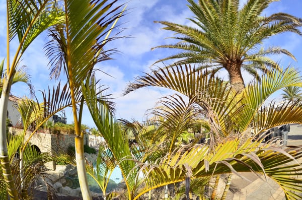 Lopesan Villa del Conde Resort & Thalasso by null