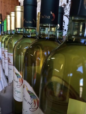 Happy Wine Calle Ocho by null