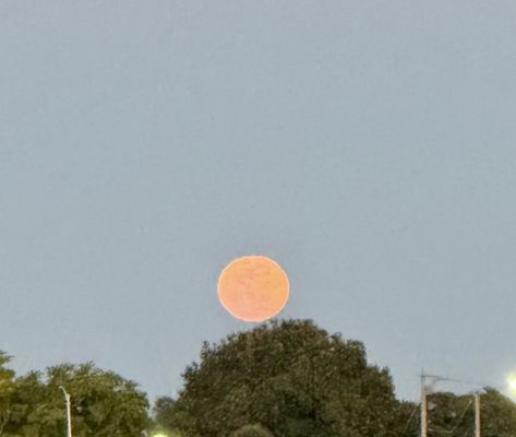 Miami-Opa Locka Executive Airport by null