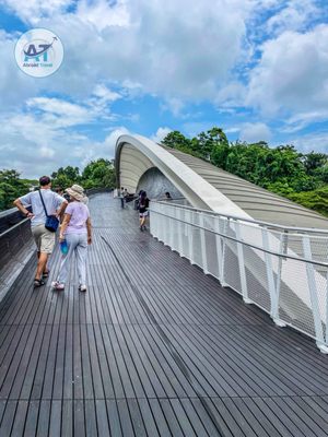Henderson Waves by null