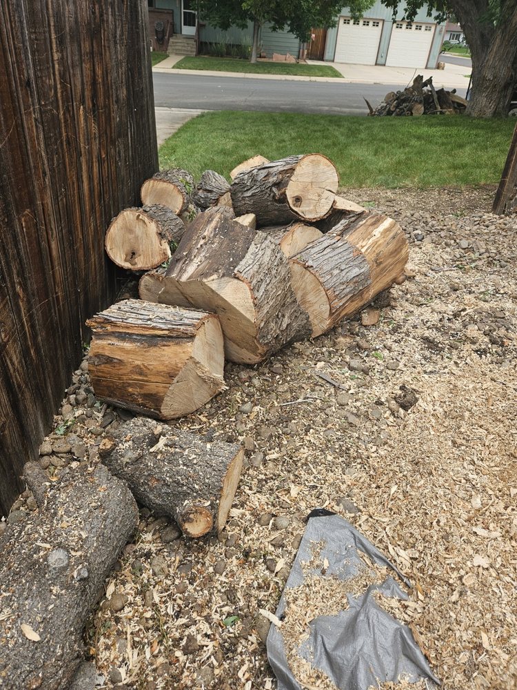 Oak and Ivy Tree Care - tree service in Denver, CO