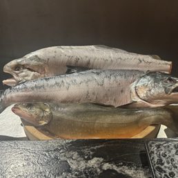 Fresh Salmon before being prepared Fresh Salmon before being prepared