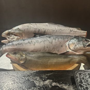 Shinn West - Fresh Salmon before being prepared - Sushi Bars Near Me - New York, New York Shinn West - Fresh Salmon before being prepared - Sushi Bars Near Me - New York, New York